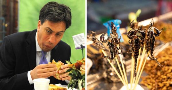 英前大臣米利班德再出环保昏招：密谋让全民“弃肉食改吃虫”