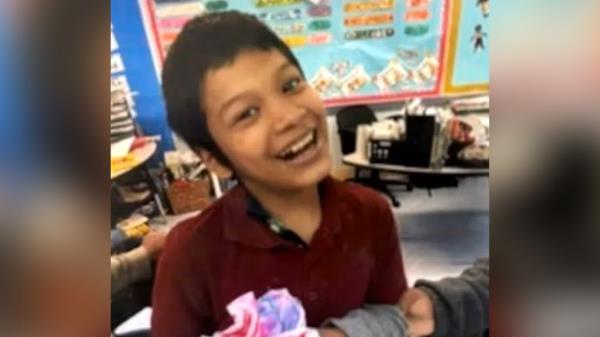 新奥尔良失踪男孩遭鳄鱼重击后溺水身亡