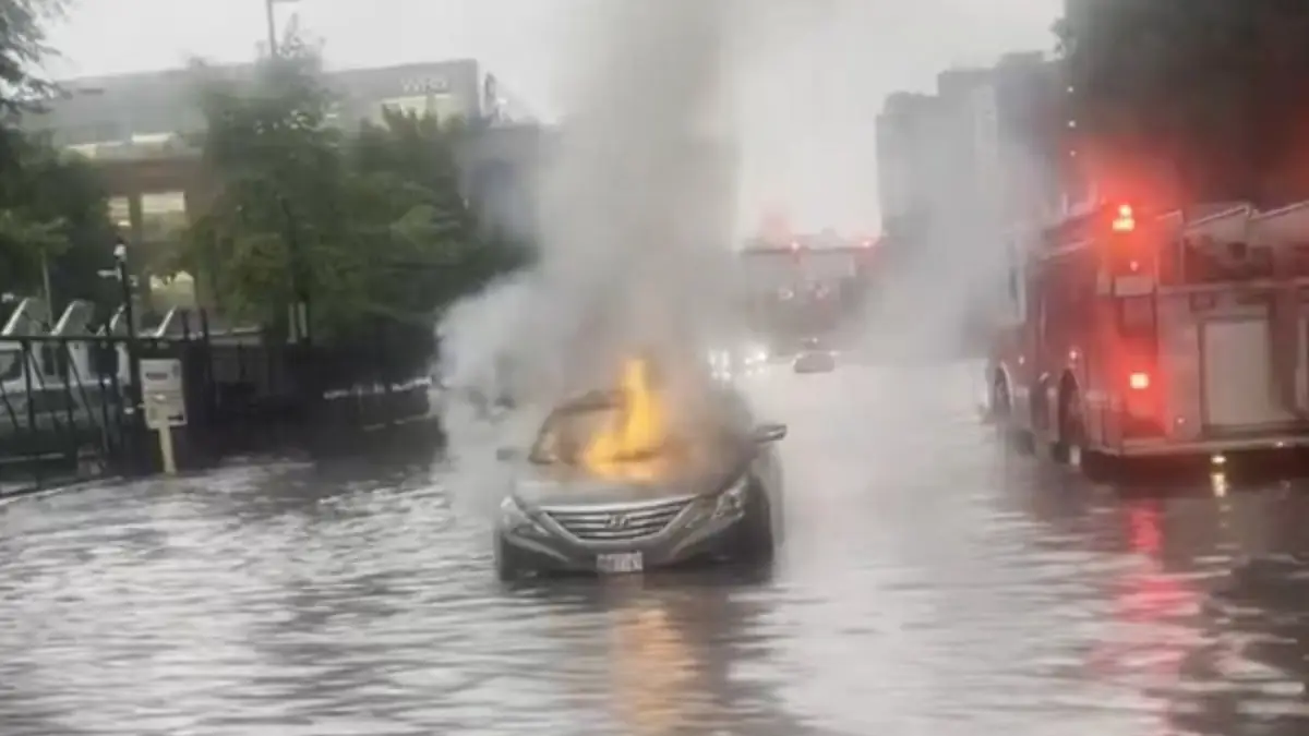 强风暴：华盛顿至I-95走廊沿线突发洪水阻断道路并导致航班延误
