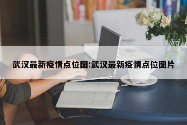 武汉疫情最新动态：风险点位分布图公布